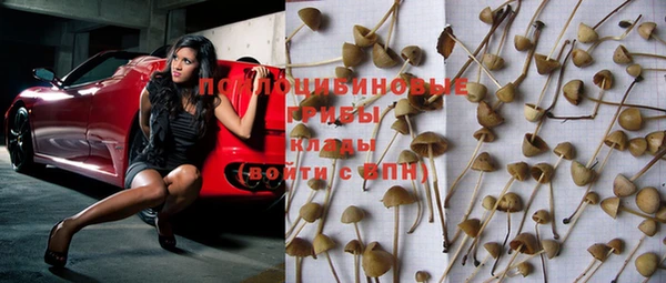 индика Алапаевск