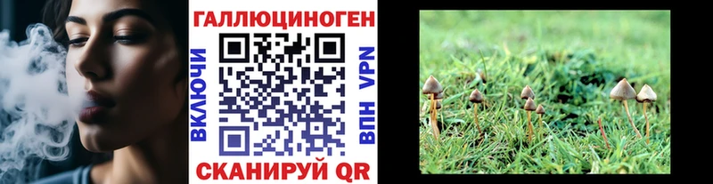 Псилоцибиновые грибы GOLDEN TEACHER  Кунгур 